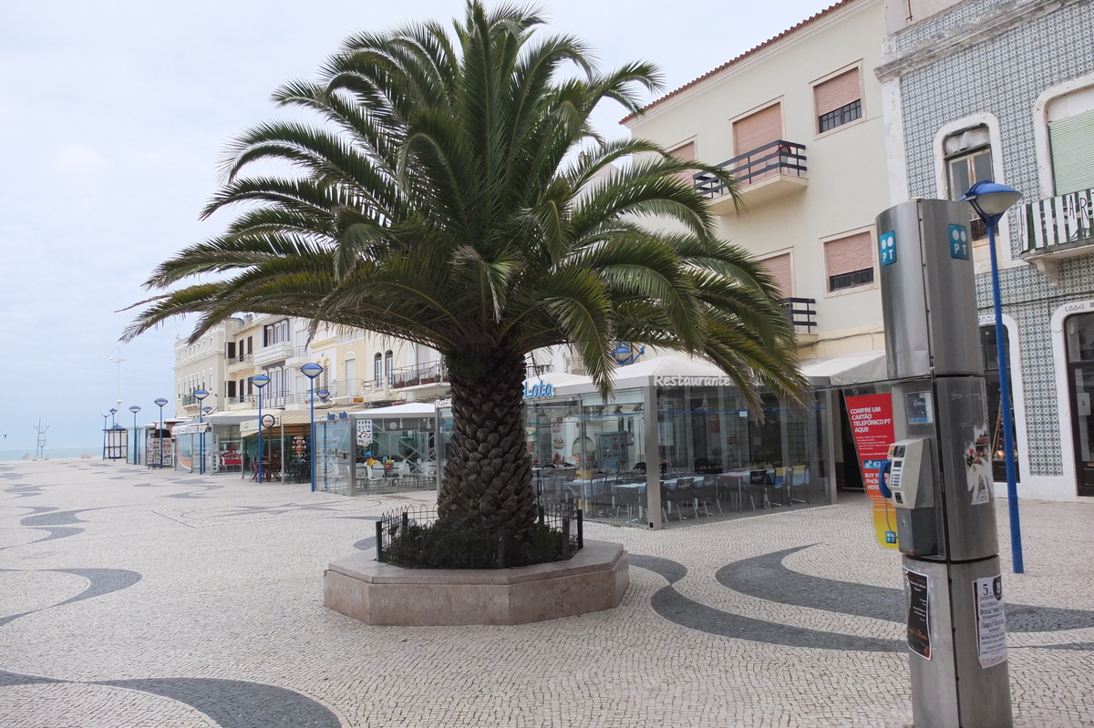 รูปถ่าย โปรตุเกส(Portugal) นาซาเร(Nazare) 2013-01 6
