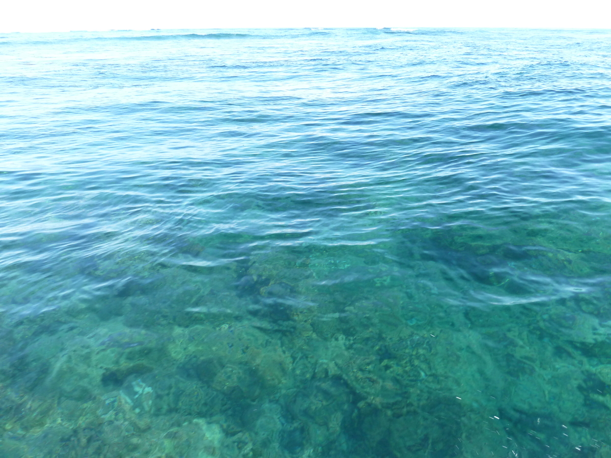 รูปถ่าย ฟิจิ(Fiji) เกาะแคสต์อะเวย์(Castaway Island) 2010-05 171