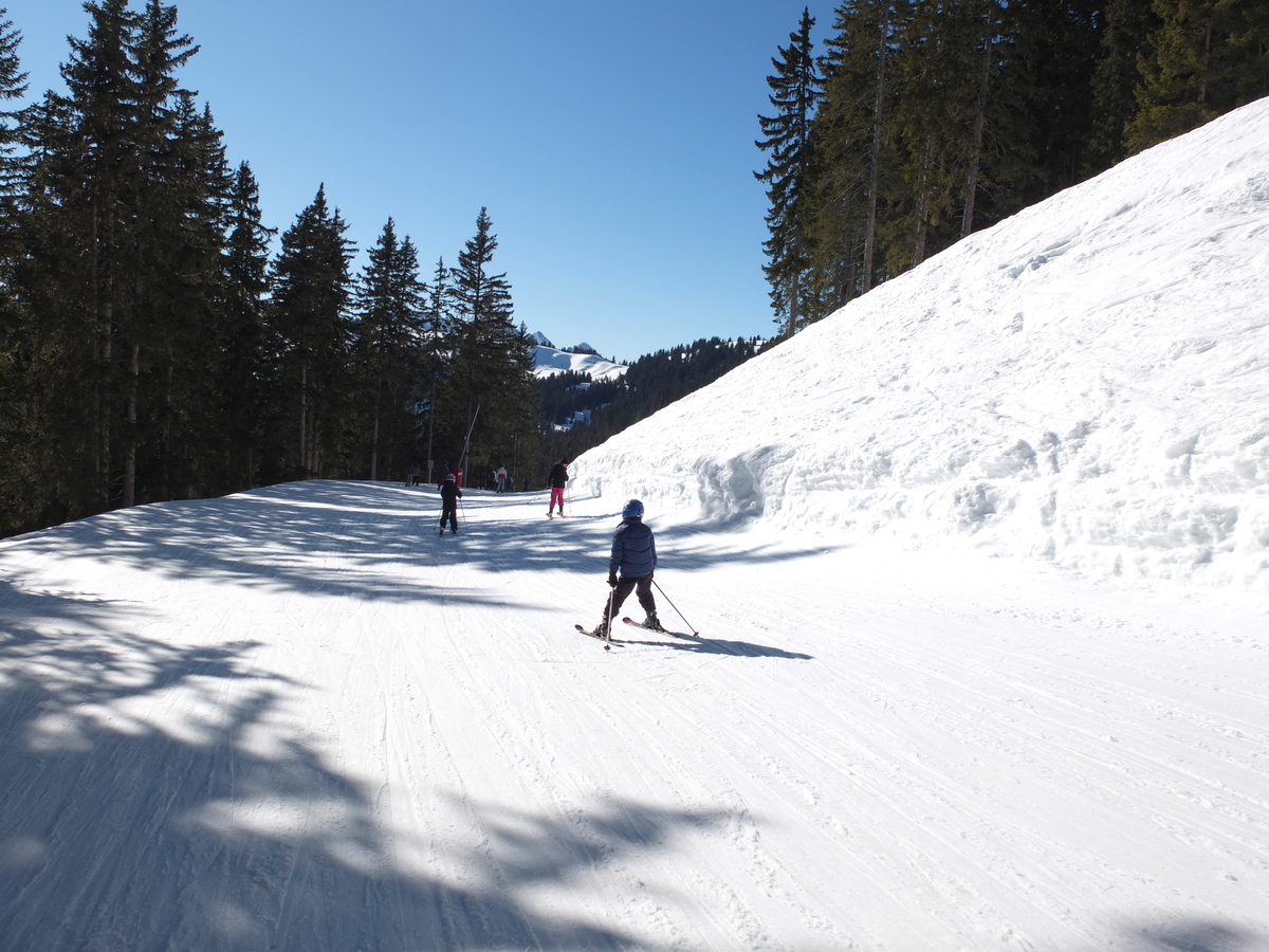 รูปถ่าย ฝรั่งเศส(France) ก็องบลู(Combloux) 2012-02 46