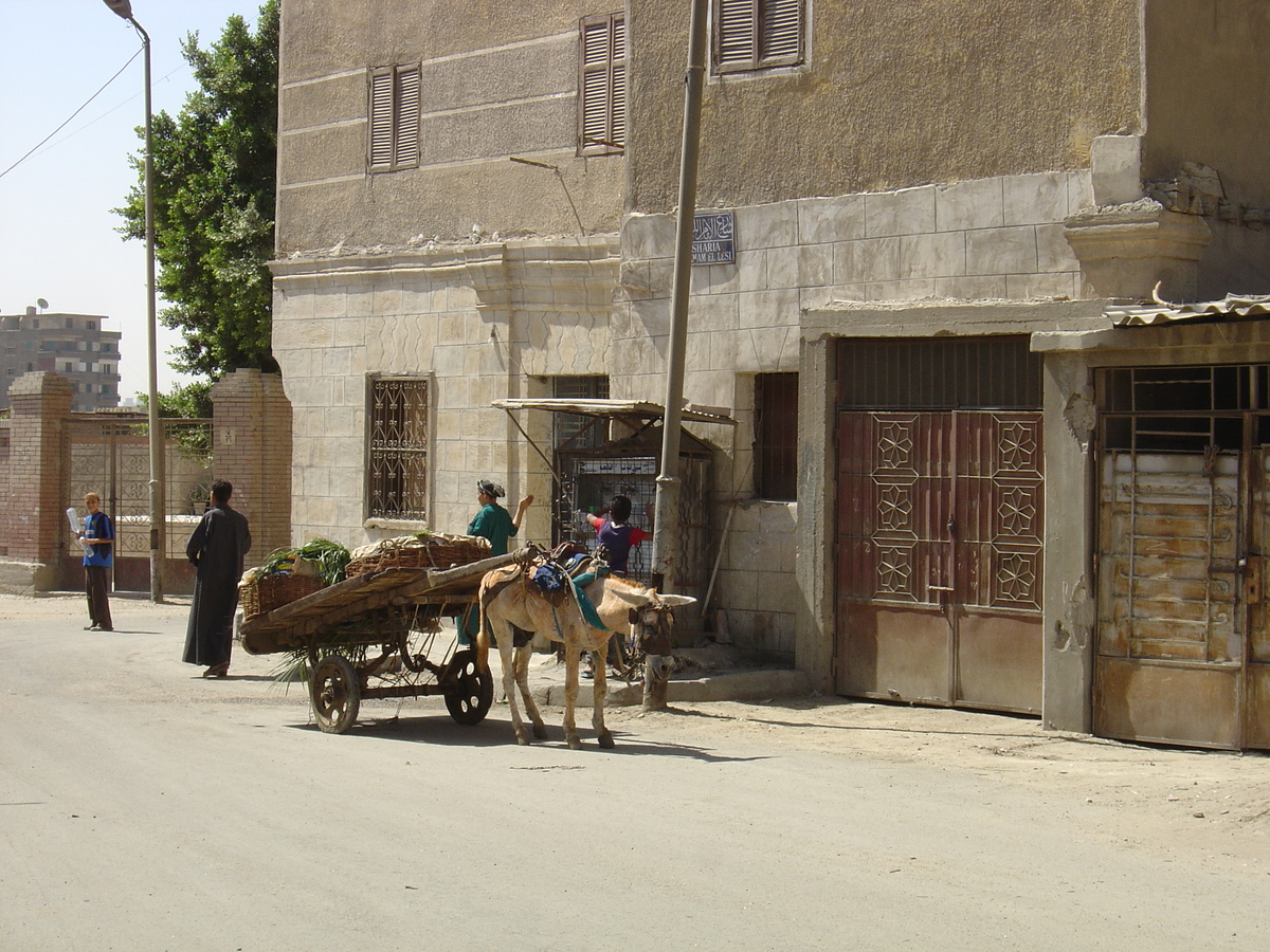 รูปถ่าย อียิปต์(Egypt) ไคโร(Cairo) 2004-09 40