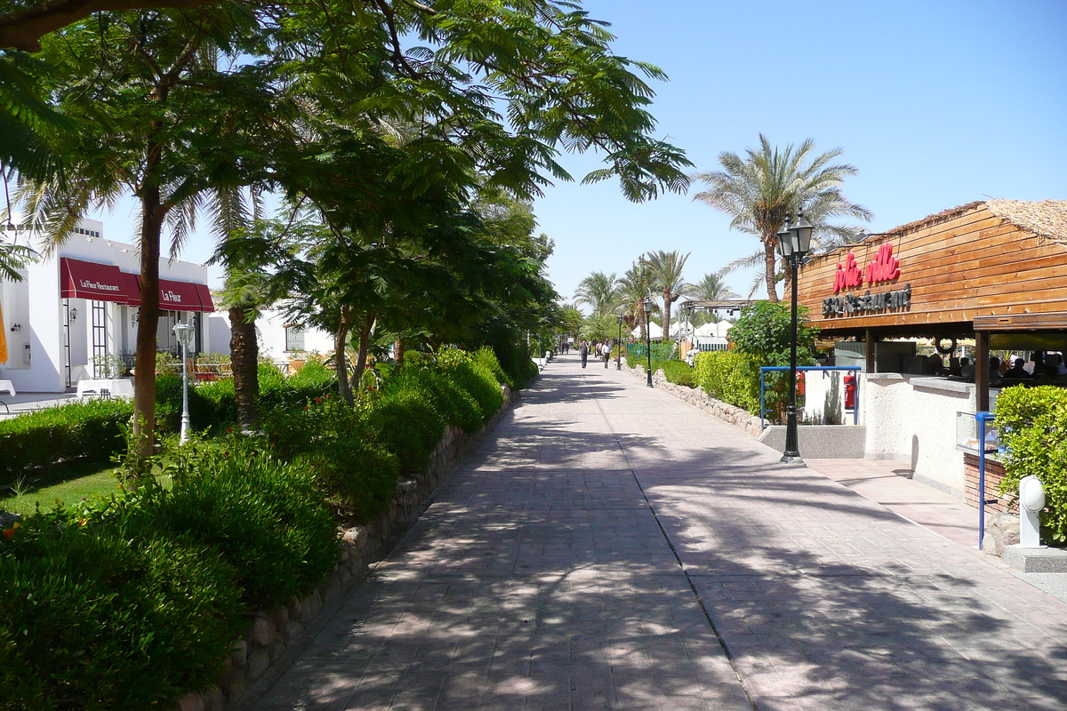 รูปถ่าย อียิปต์(Egypt) ชาร์มเอลชีค(Sharm el Sheikh) 2008-06 2