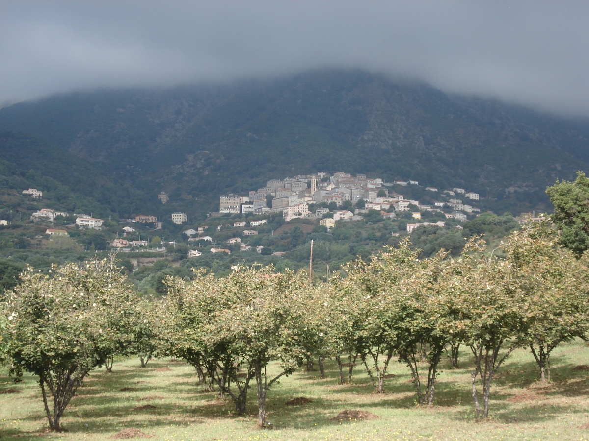 รูปถ่าย ฝรั่งเศส(France) คอร์สิคา(Corsica) เชร์วีออน(Cervione) 2006-09 53