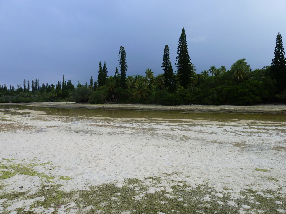 รูปถ่าย นิวแคลิโดเนีย(New Caledonia) เกาะต้นสน(Ile des pins) อ่าวโอโร(Oro Bay) 2010-05 37