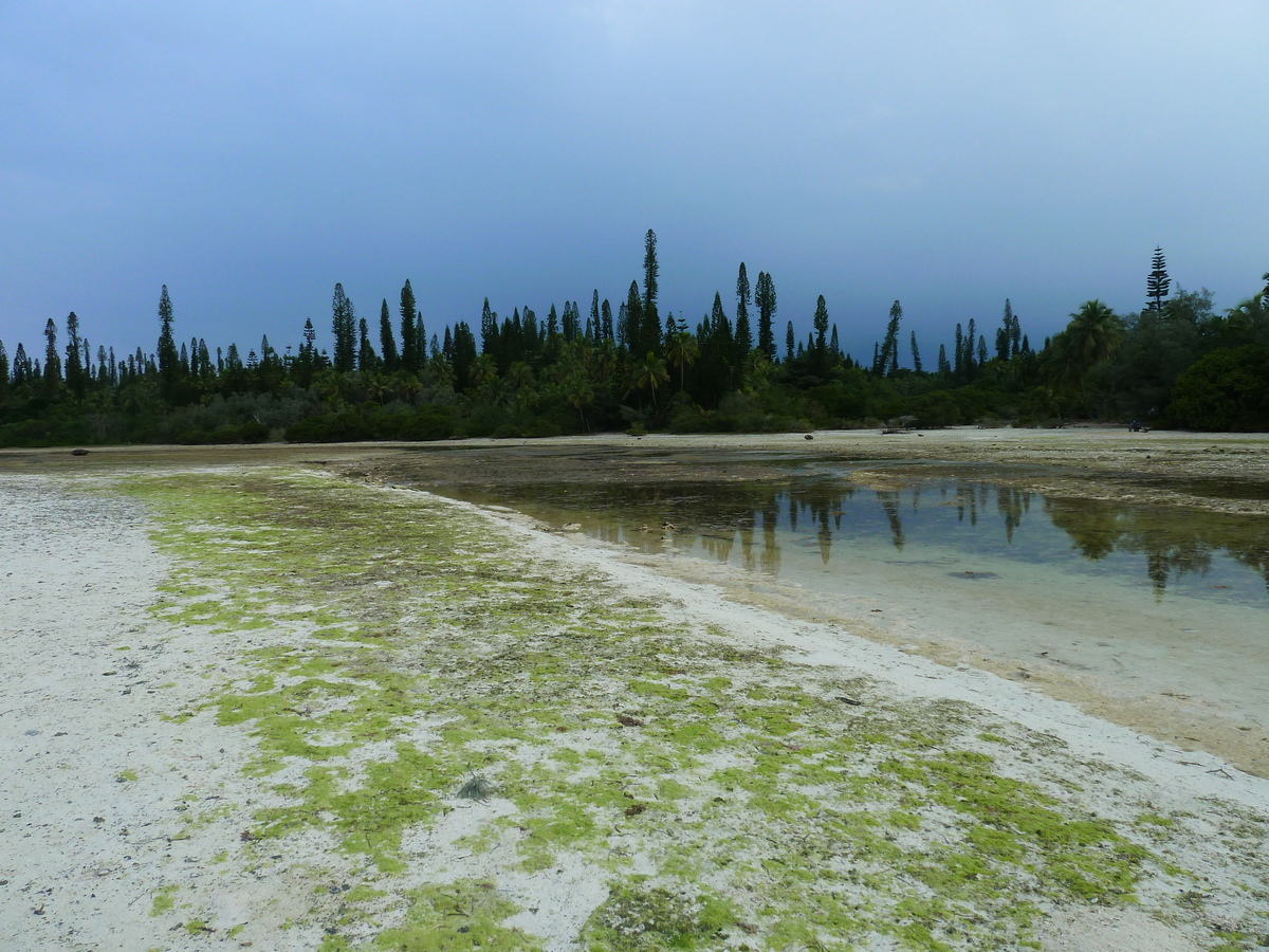 รูปถ่าย นิวแคลิโดเนีย(New Caledonia) เกาะต้นสน(Ile des pins) อ่าวโอโร(Oro Bay) 2010-05 31