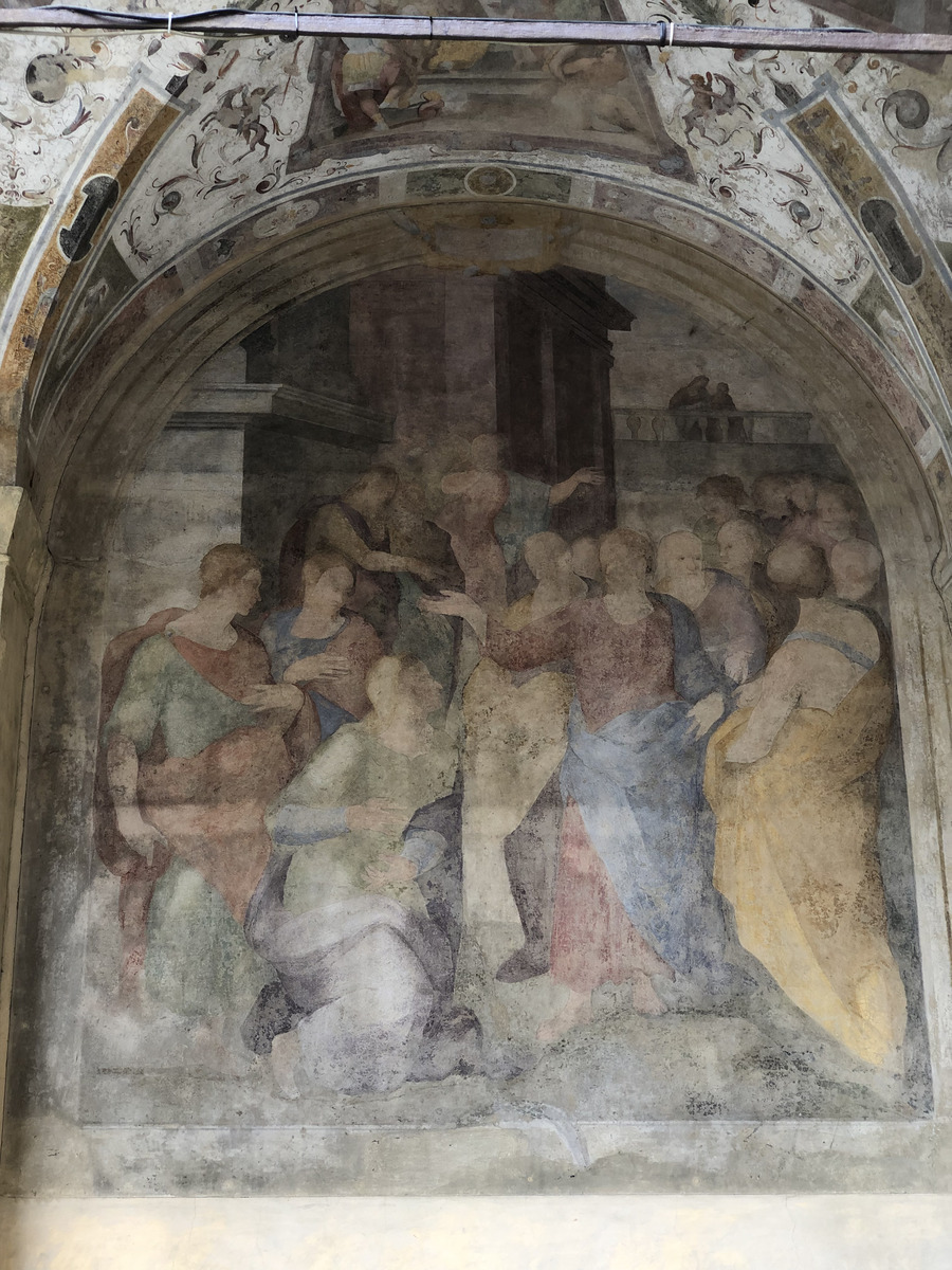 รูปถ่าย อิตาลี(Italy) ปิสตอยา(Pistoia) 2024-09 51