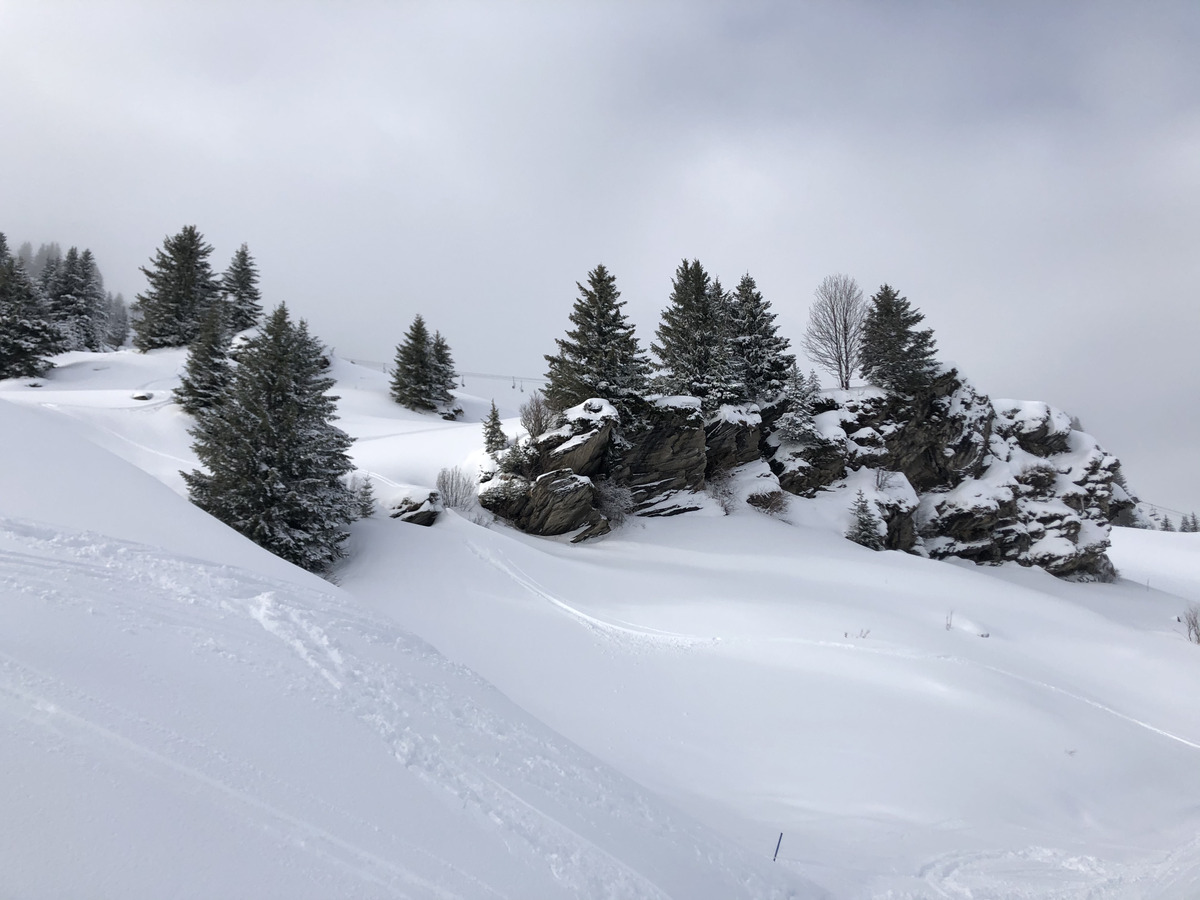 รูปถ่าย ฝรั่งเศส(France) ปรา-ซูร์-อาร์ลี(Praz sur Arly) 2019-12 292