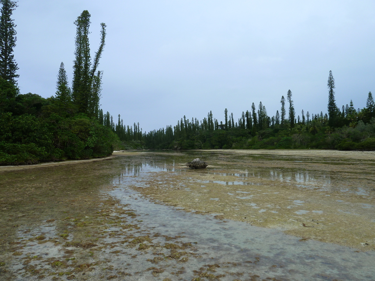 รูปถ่าย นิวแคลิโดเนีย(New Caledonia) เกาะต้นสน(Ile des pins) อ่าวโอโร(Oro Bay) 2010-05 17