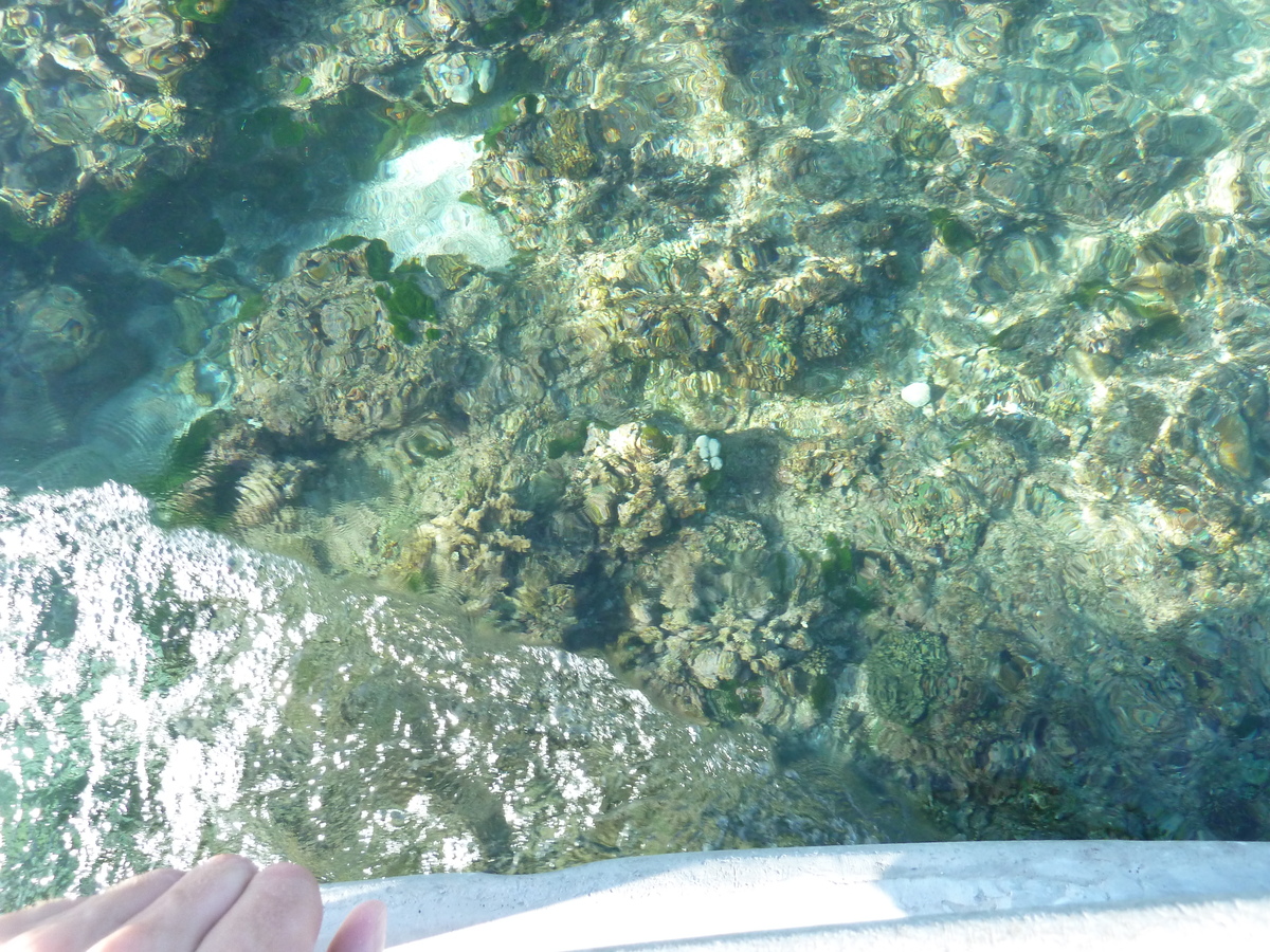 รูปถ่าย ฟิจิ(Fiji) เกาะแคสต์อะเวย์(Castaway Island) 2010-05 214