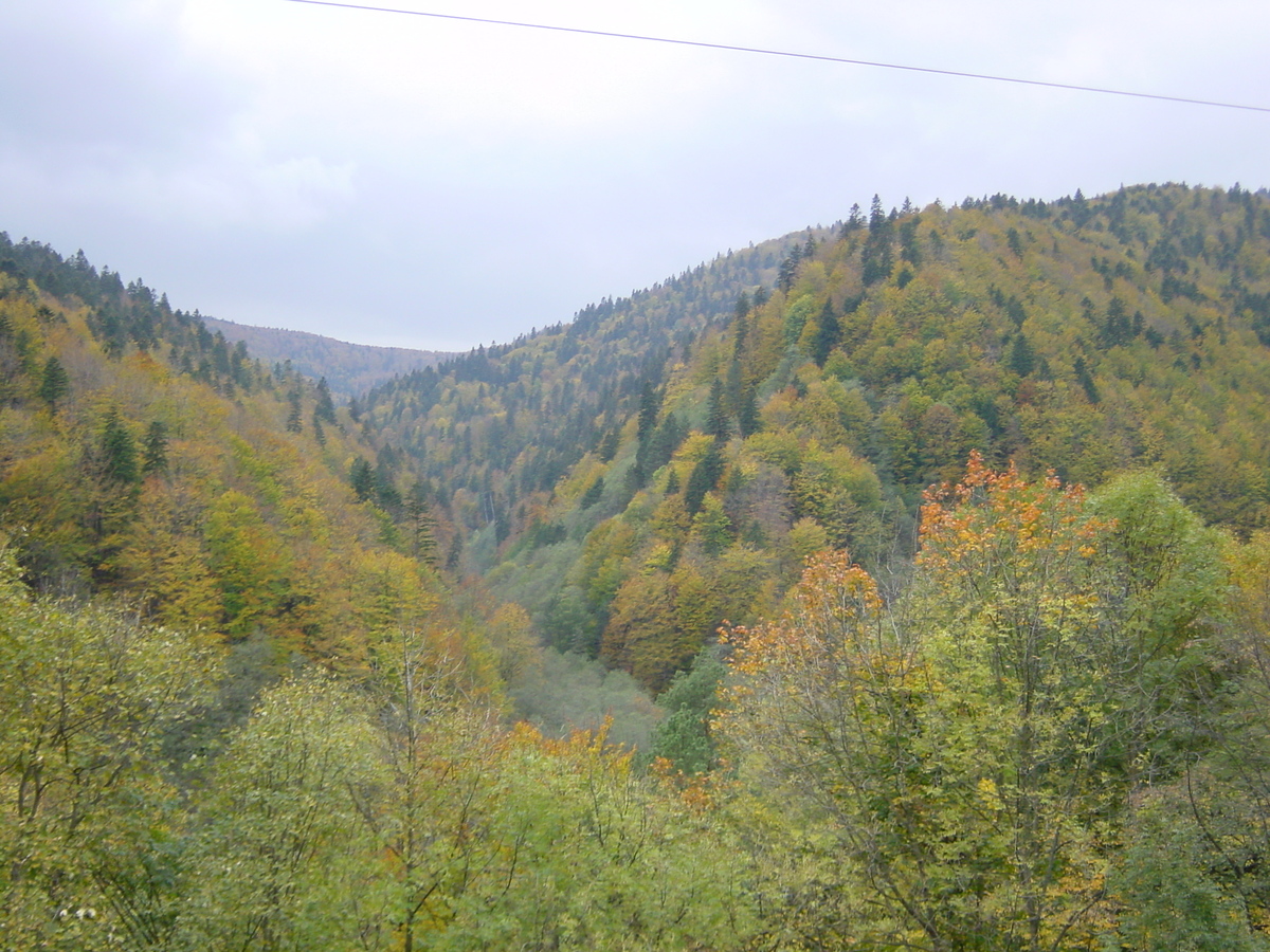 รูปถ่าย โรมาเนีย(Romania) สินายา(Sinaia) 2003-10 90