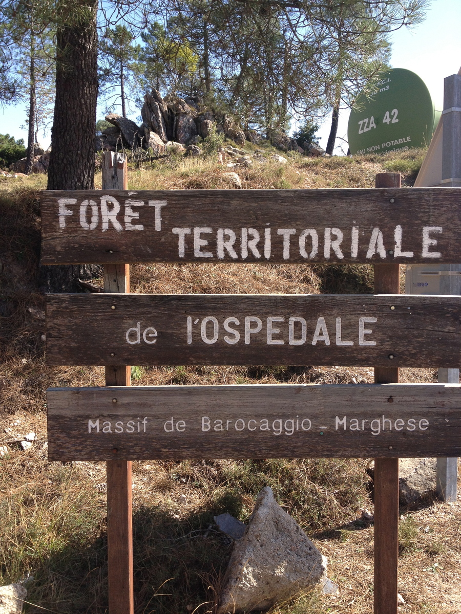 รูปถ่าย ฝรั่งเศส(France) คอร์สิคา(Corsica) ป่าลอสเปดาเล(L'ospedale Forest) 2012-09 67
