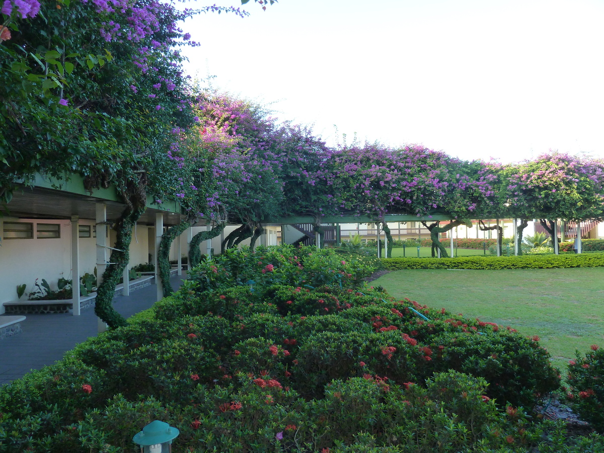 รูปถ่าย ฟิจิ(Fiji) โรงแรมราฟเฟิลส์ นาดี(Raffles Nadi Hotel) 2010-05 8