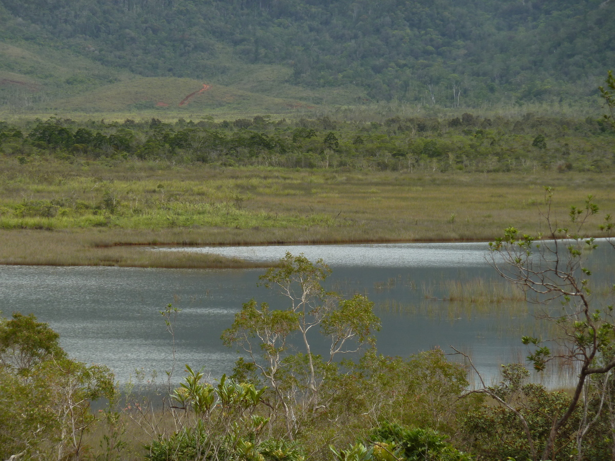รูปถ่าย นิวแคลิโดเนีย(New Caledonia) อุทยานริเวียร์เบลอ(Parc de la Riviere Bleue) 2010-05 22