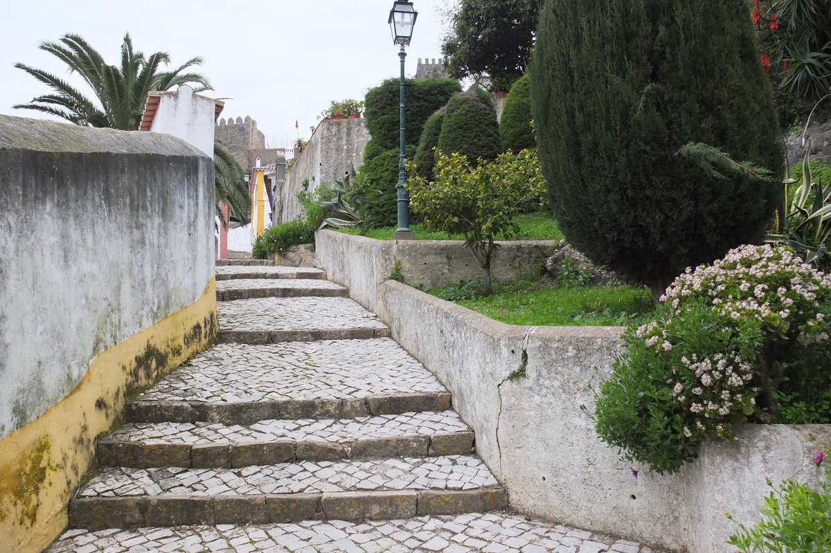 รูปถ่าย โปรตุเกส(Portugal) โอบีโดส(Obidos) 2013-01 18
