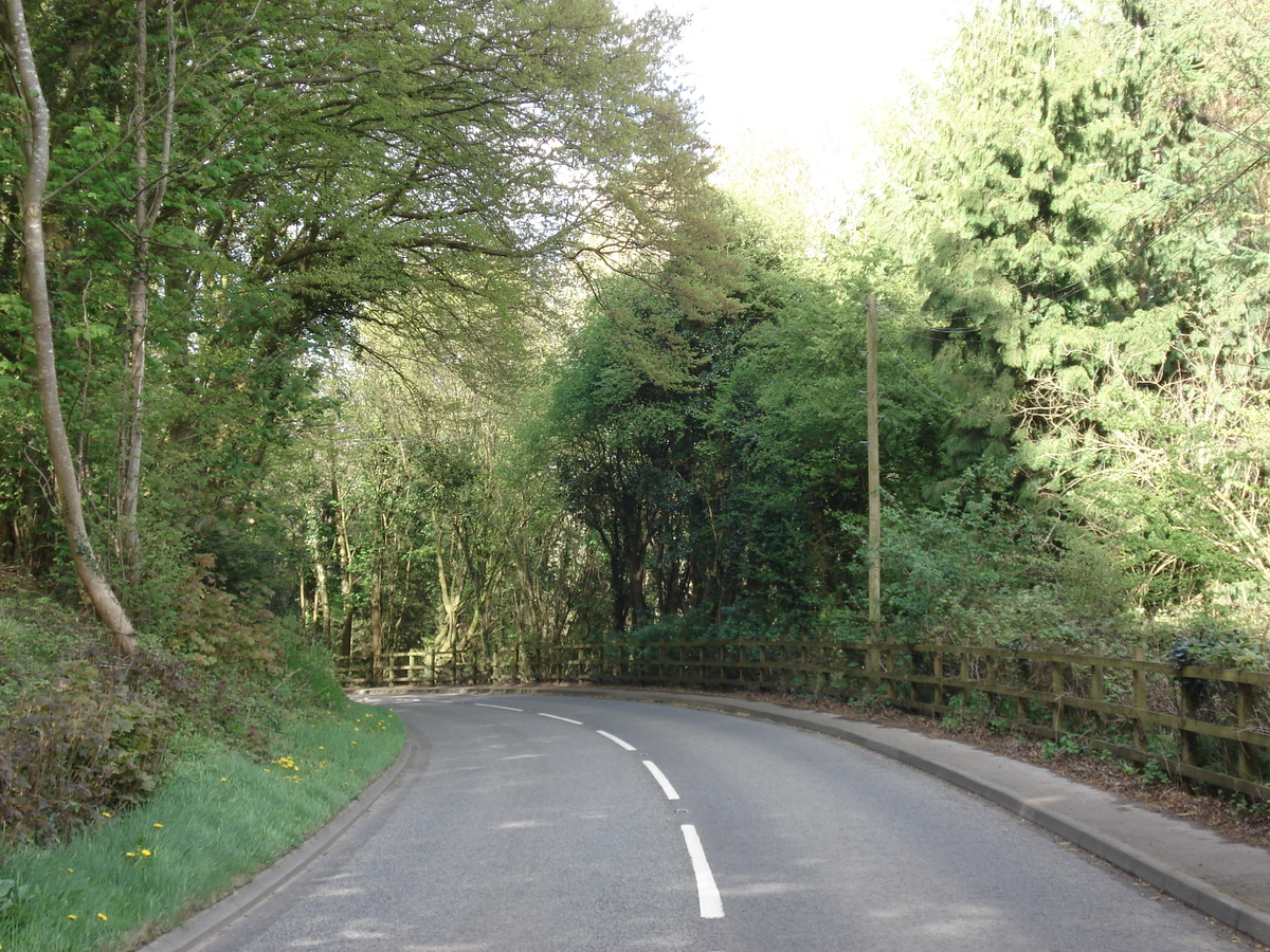 รูปถ่าย อังกฤษ(United Kingdom) หุบเขาไวย์(Wye Valley) 2006-05 16