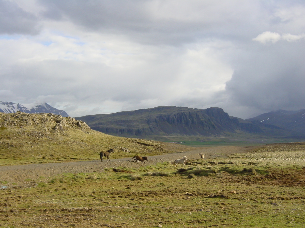 รูปถ่าย ไอซ์แลนด์(Iceland) ถนนหมายเลข 36, 52 และ 50(road 36, 52 and 50) 2003-06 9