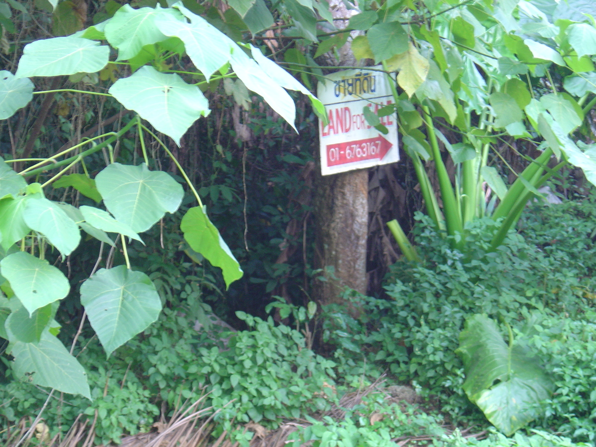 รูปถ่าย ไทย(Thailand) ภูเก็ต(Phuket) ขาย(For Sale) 2005-12 3