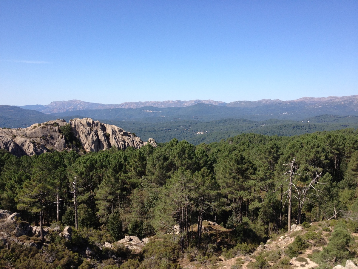 รูปถ่าย ฝรั่งเศส(France) คอร์สิคา(Corsica) ป่าลอสเปดาเล(L'ospedale Forest) 2012-09 54