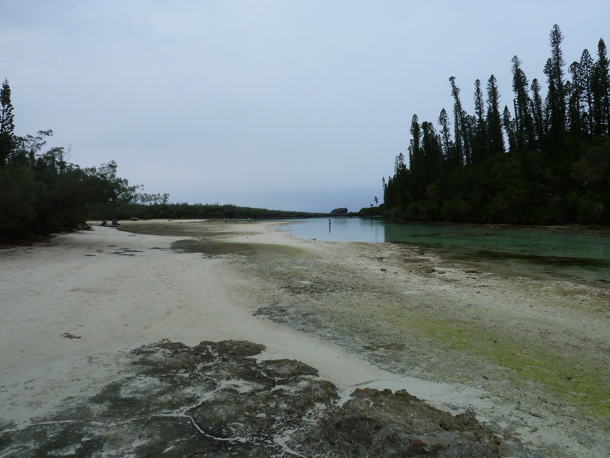 รูปถ่าย นิวแคลิโดเนีย(New Caledonia) เกาะต้นสน(Ile des pins) อ่าวโอโร(Oro Bay) 2010-05 25