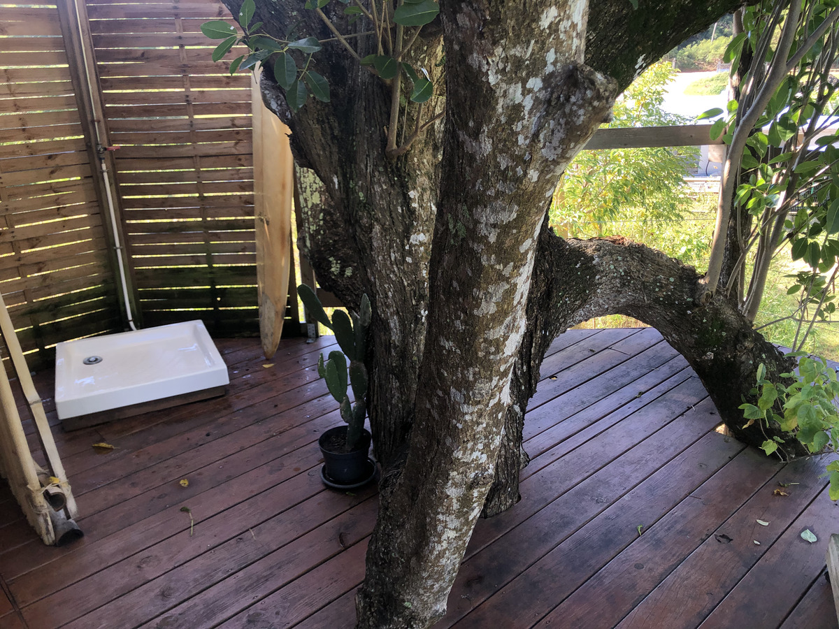 รูปถ่าย กวาเดอลูป(Guadeloupe) แซ็งตาน(Sainte Anne) 2021-02 87