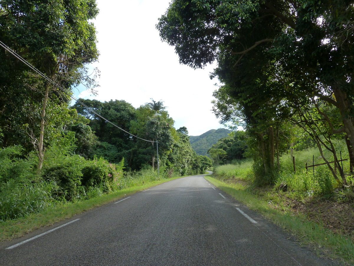 รูปถ่าย นิวแคลิโดเนีย(New Caledonia) ถนนจากตงตูตาไปทีโอ(Tontouta to Thio road) 2010-05 57