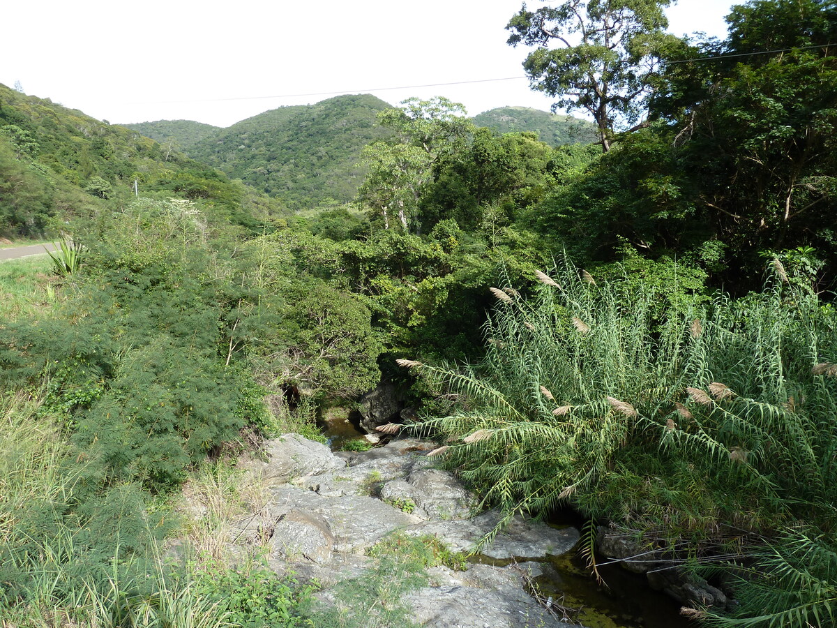 รูปถ่าย นิวแคลิโดเนีย(New Caledonia) ถนนจากตงตูตาไปทีโอ(Tontouta to Thio road) 2010-05 47