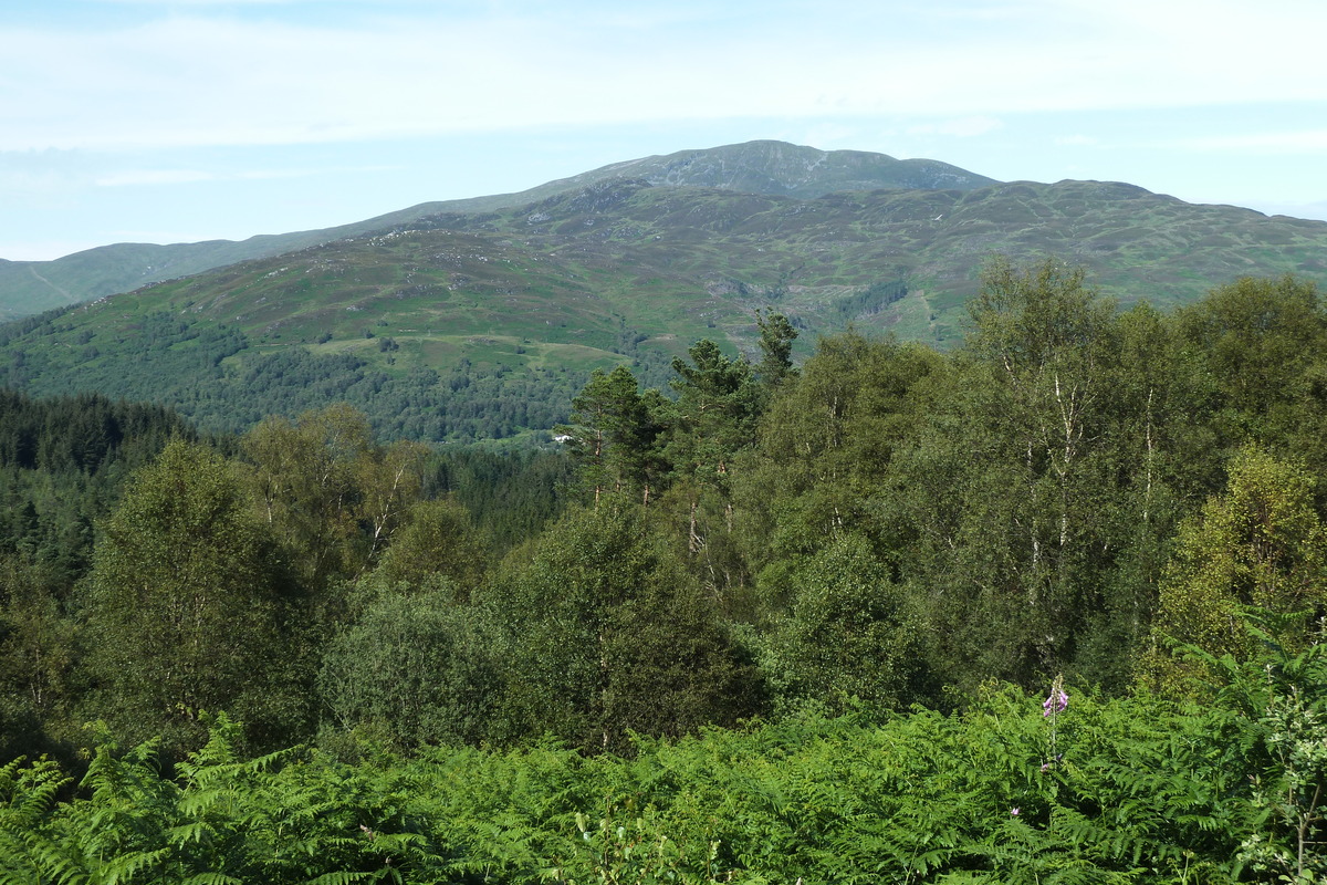 รูปถ่าย อังกฤษ(United Kingdom) ทรอสซักส์(The Trossachs) 2011-07 37