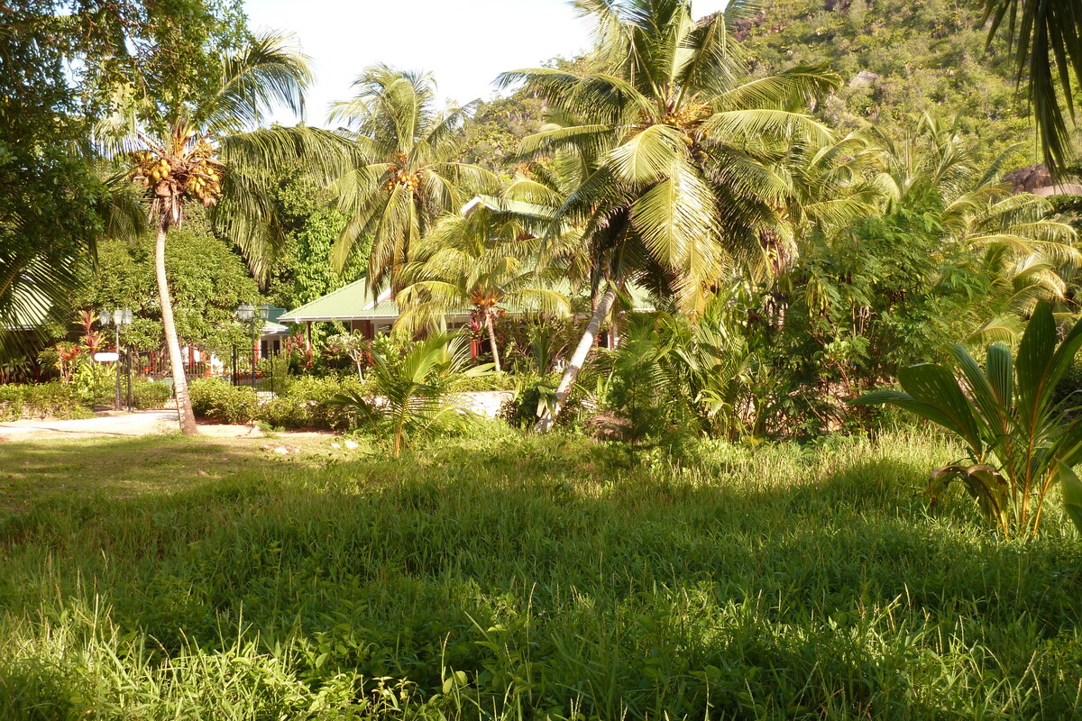 รูปถ่าย เซเชลส์(Seychelles) อ่าวอ็องส์ลาซิโอ(Anse Lazio) 2011-10 106