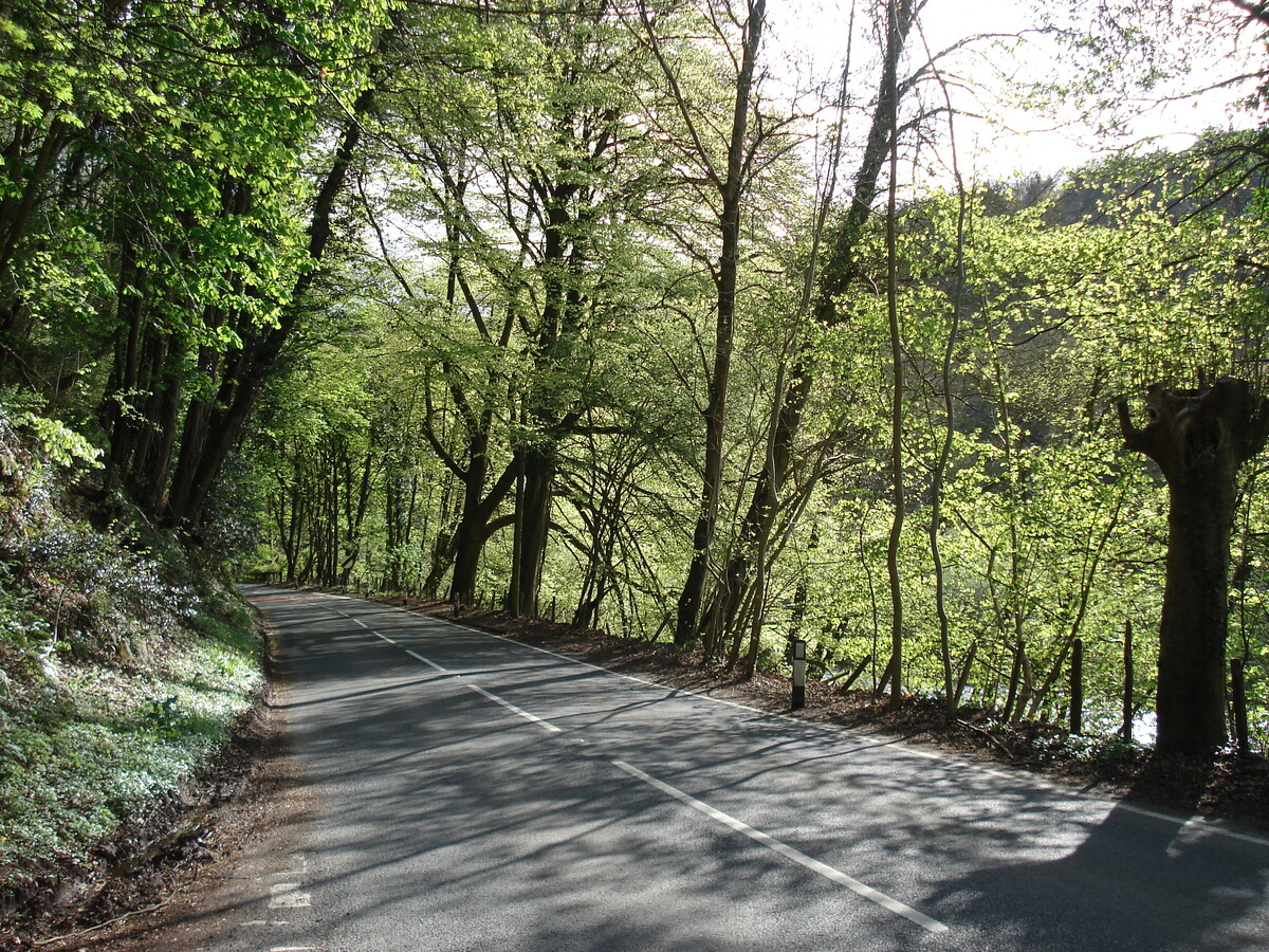 รูปถ่าย อังกฤษ(United Kingdom) หุบเขาไวย์(Wye Valley) 2006-05 15