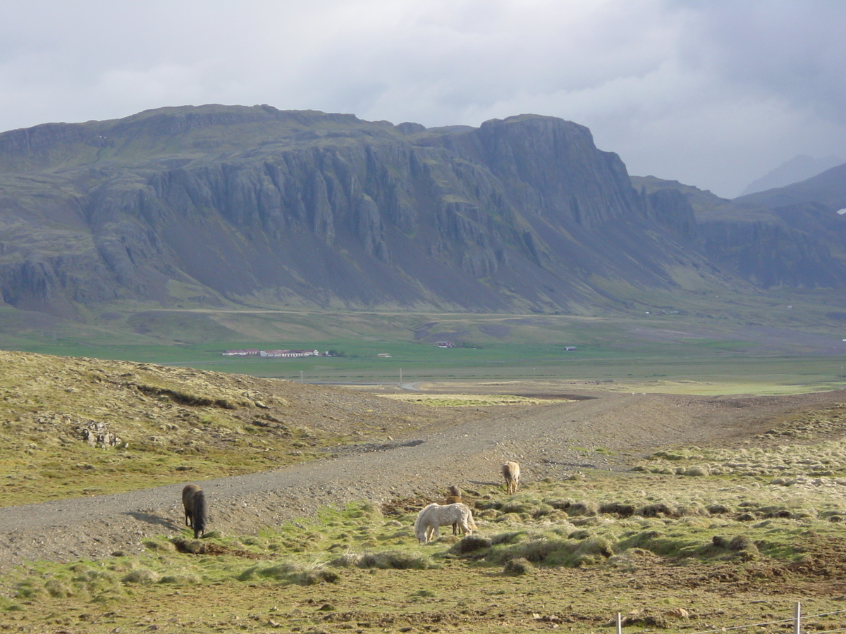 รูปถ่าย ไอซ์แลนด์(Iceland) ถนนหมายเลข 36, 52 และ 50(road 36, 52 and 50) 2003-06 12