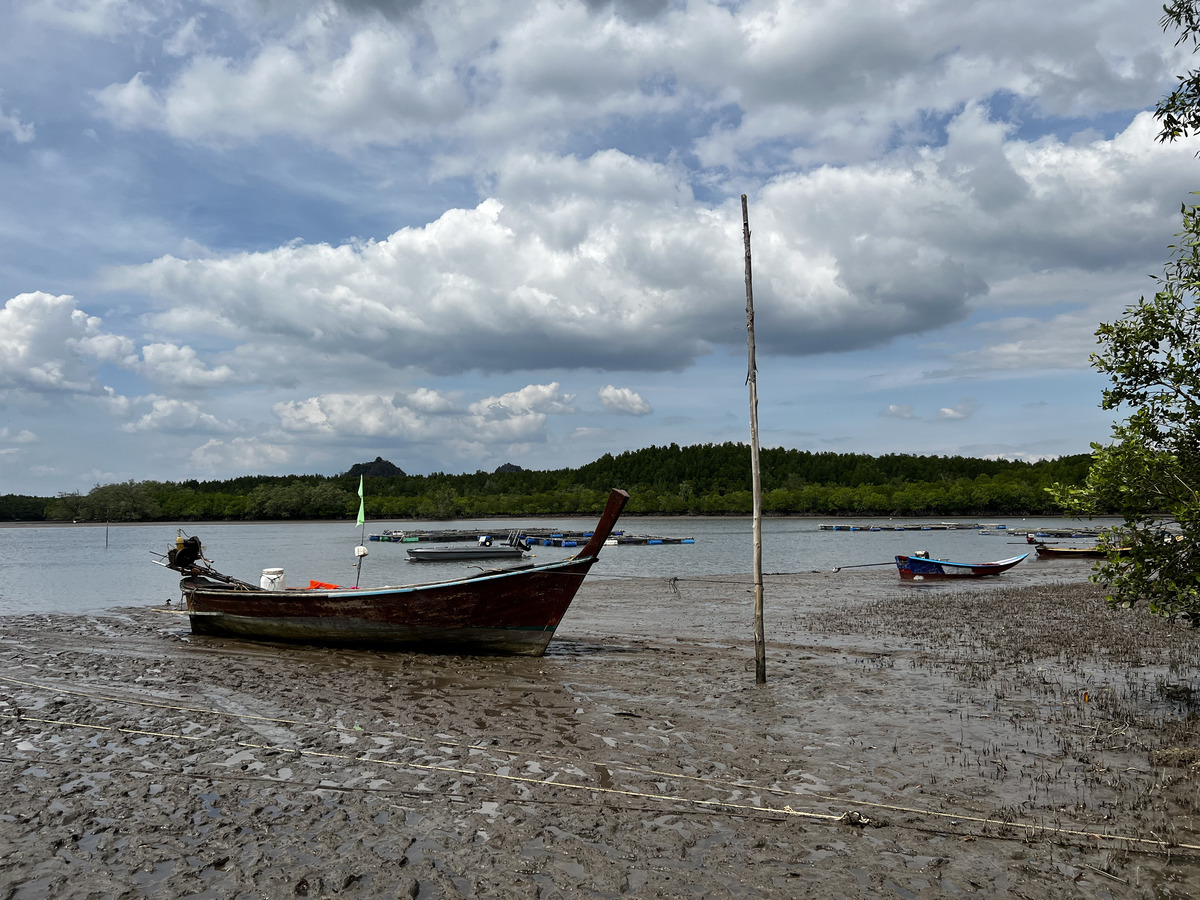 รูปถ่าย ไทย(Thailand) หาดยาว(Hat Yao) 2023-01 39