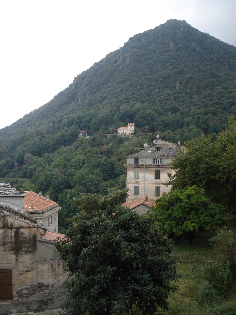 รูปถ่าย ฝรั่งเศส(France) คอร์สิคา(Corsica) เชร์วีออน(Cervione) 2006-09 41