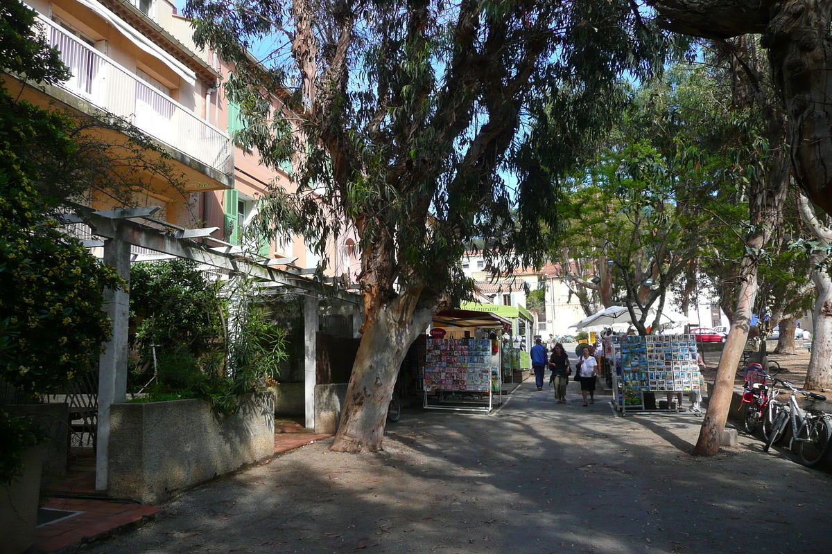 รูปถ่าย ฝรั่งเศส(France) เกาะปอร์เกอรอล(Porquerolles Island) ปอร์เกอรอล(Porquerolles) 2008-05 34