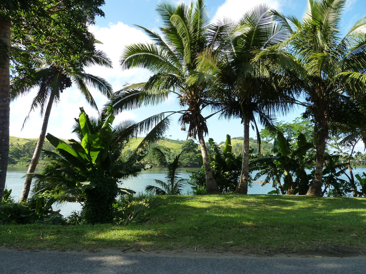 รูปถ่าย ฟิจิ(Fiji) แม่น้ำซิงกาโตกา(Sigatoka river) 2010-05 49