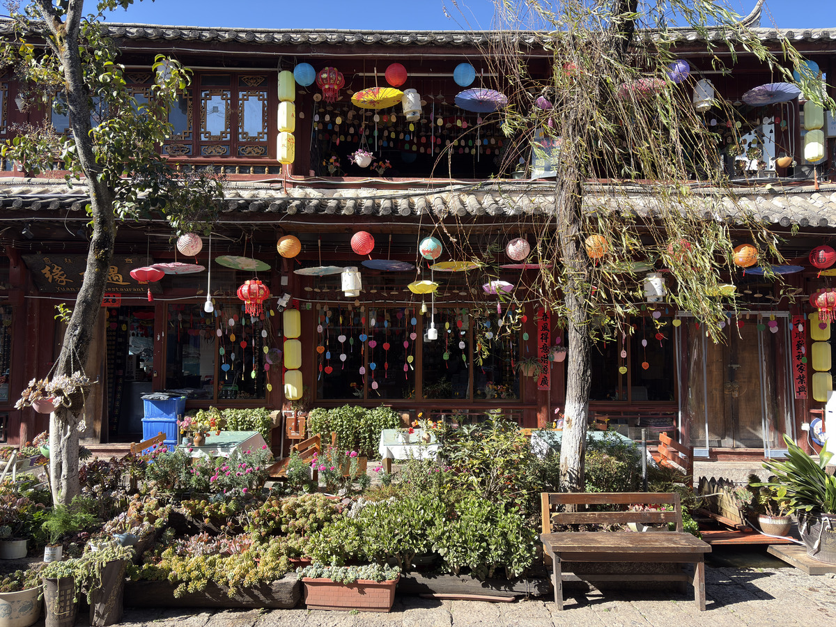รูปถ่าย จีน(China) ลี่เจียง(Lijiang) 2026-01 46