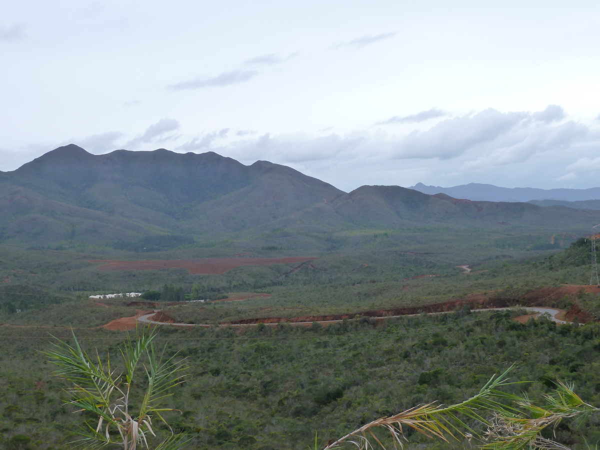 รูปถ่าย นิวแคลิโดเนีย(New Caledonia) อุทยานริเวียร์เบลอ(Parc de la Riviere Bleue) 2010-05 62