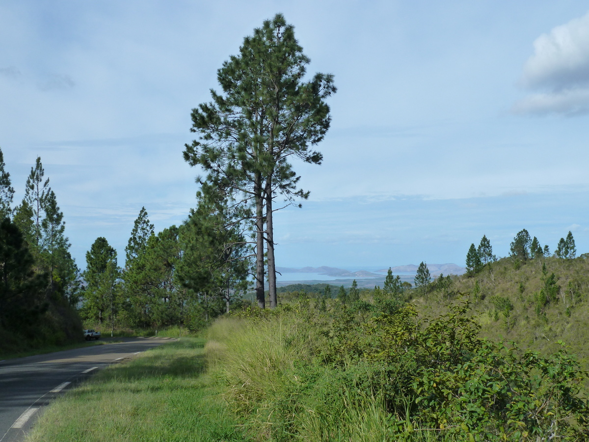 รูปถ่าย นิวแคลิโดเนีย(New Caledonia) ถนนจากตงตูตาไปทีโอ(Tontouta to Thio road) 2010-05 88