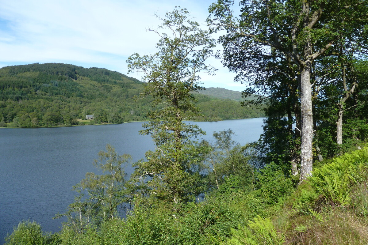 รูปถ่าย อังกฤษ(United Kingdom) ทรอสซักส์(The Trossachs) 2011-07 97