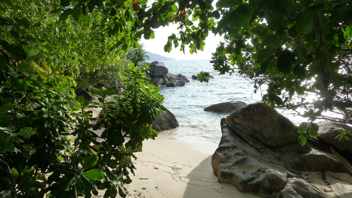 รูปถ่าย เซเชลส์(Seychelles) เกาะมาเฮ(Mahe) 2011-10 153