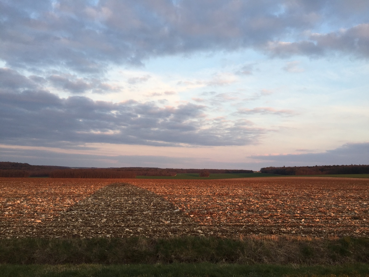 รูปถ่าย ฝรั่งเศส(France) ตอแนร์(Tonnerre) 2016-02 27