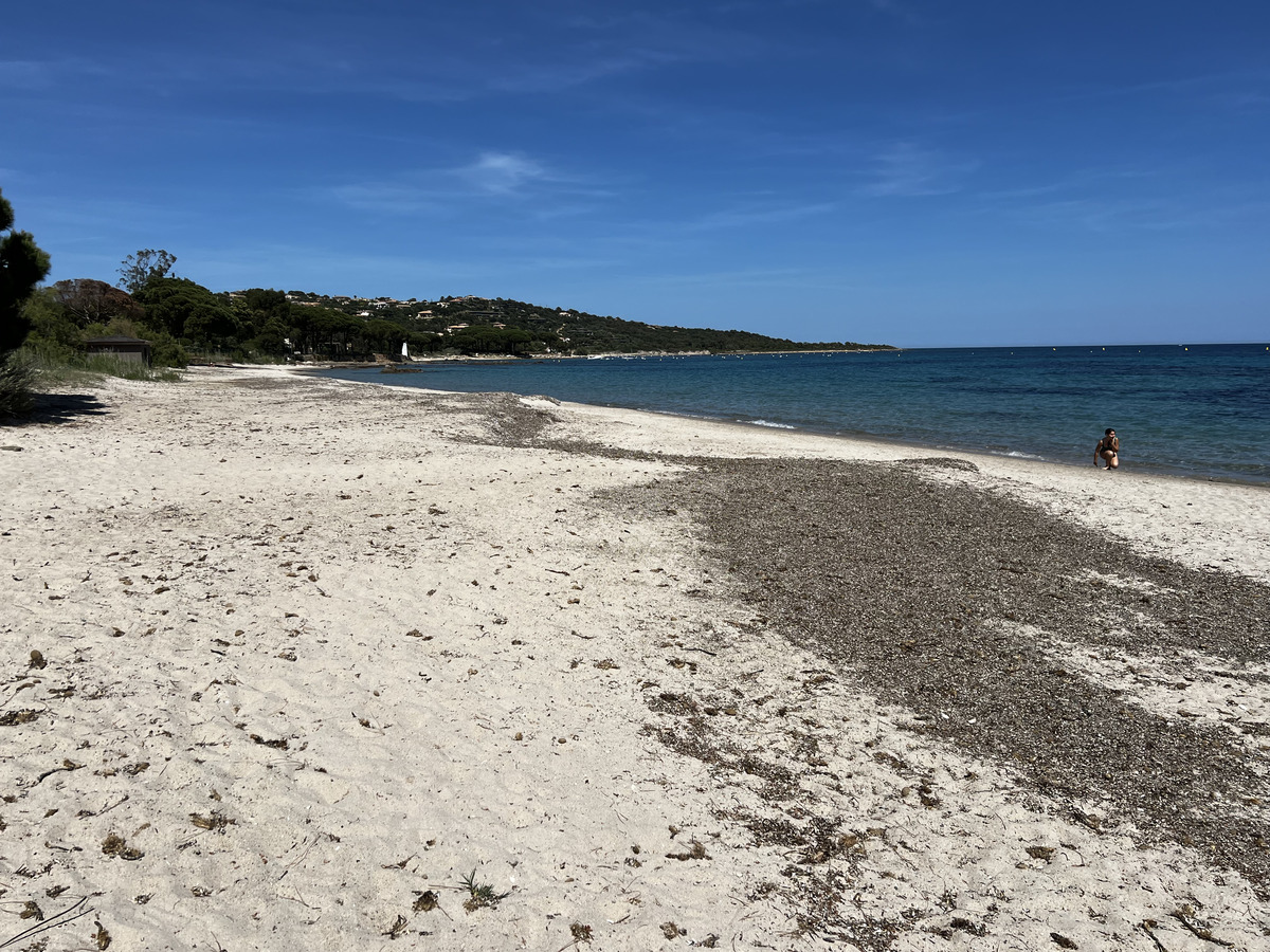 รูปถ่าย ฝรั่งเศส(France) คอร์สิคา(Corsica) หาดปินาเรลลู(Pinarellu Beach) 2024-05 4