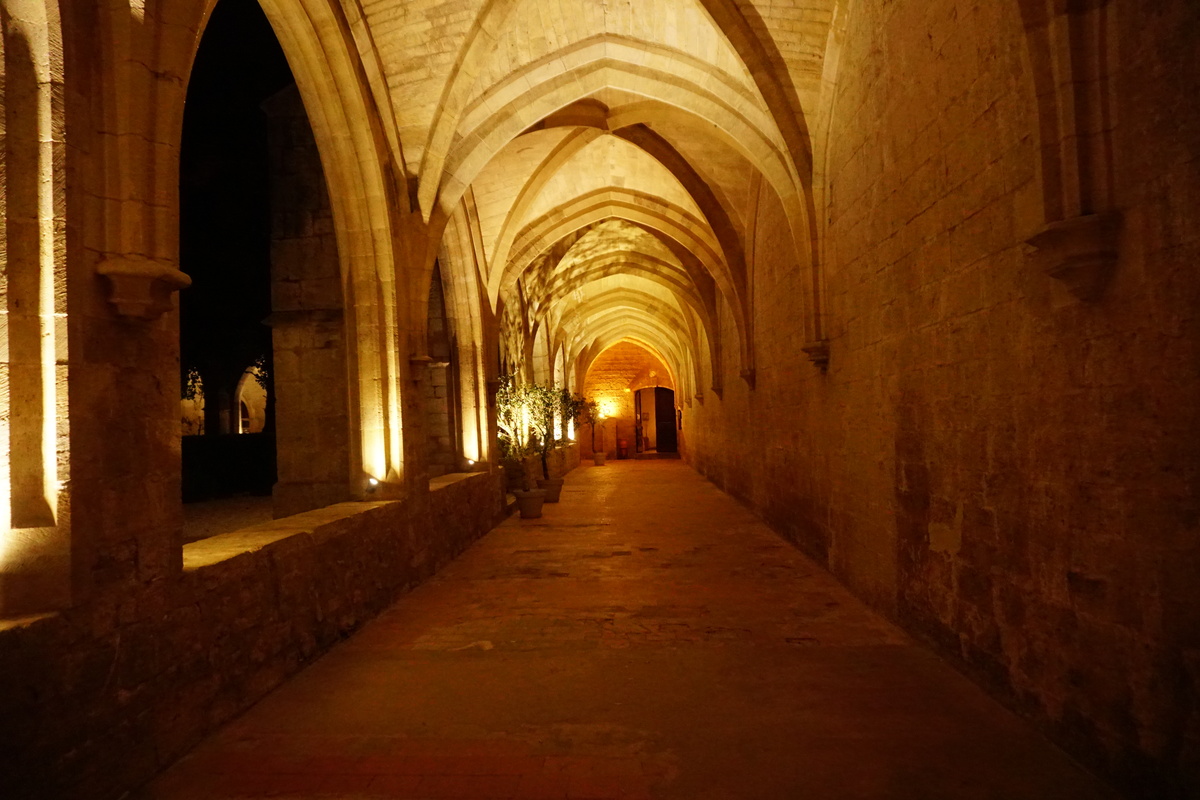 รูปถ่าย ฝรั่งเศส(France) แซ็งมักซีแม็ง-ลา-แซ็นต์-โบม(Saint Maximin la Sainte Baume) โรงแรมเลอกูว็องรัวยาล แซ็งมักซีแม็ง(Le Couvent Royal Saint Maximin Hotel) 2017-08 22