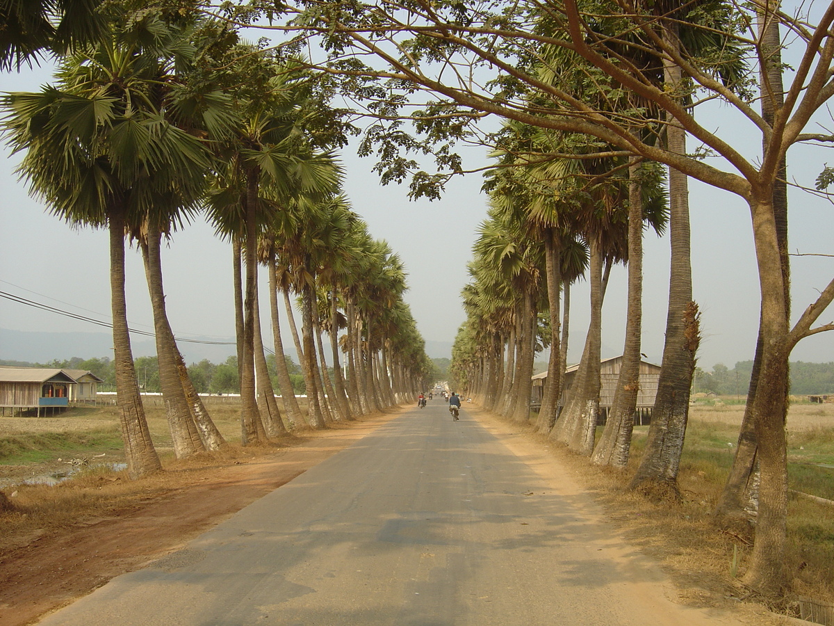 รูปถ่าย พม่า(Myanmar) ทวาย(Dawei (TAVOY)) 2005-01 39