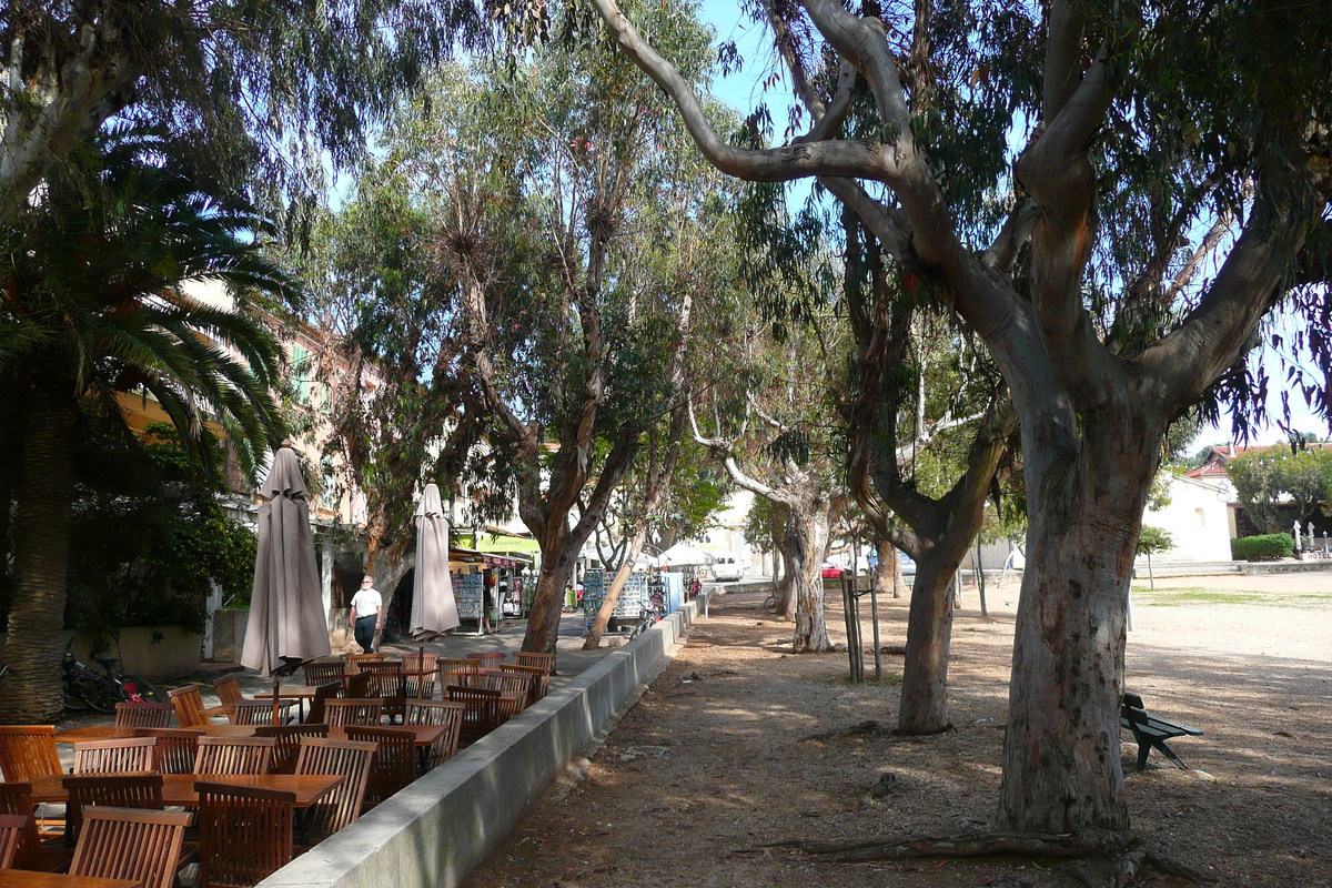รูปถ่าย ฝรั่งเศส(France) เกาะปอร์เกอรอล(Porquerolles Island) ปอร์เกอรอล(Porquerolles) 2008-05 44