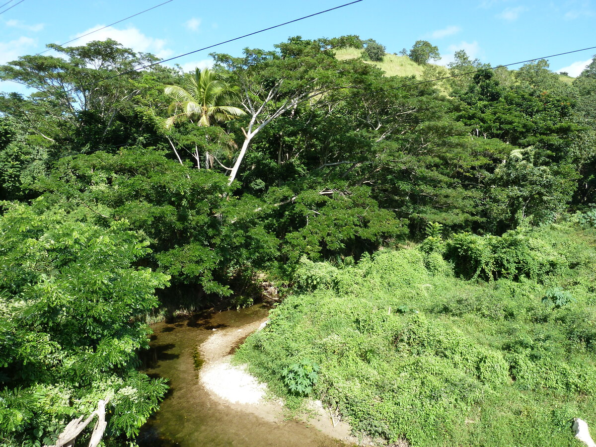 รูปถ่าย ฟิจิ(Fiji) แม่น้ำซิงกาโตกา(Sigatoka river) 2010-05 95