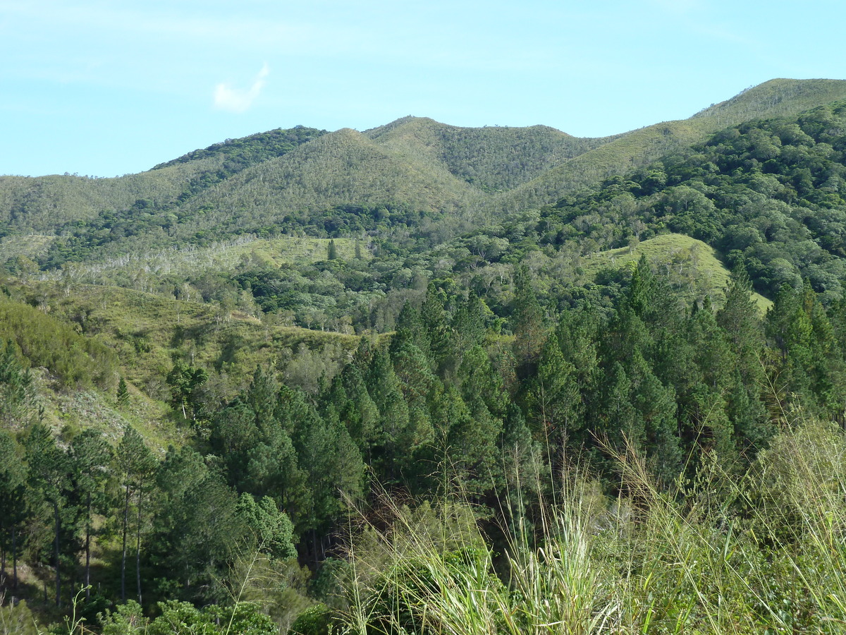 รูปถ่าย นิวแคลิโดเนีย(New Caledonia) ถนนจากตงตูตาไปทีโอ(Tontouta to Thio road) 2010-05 63