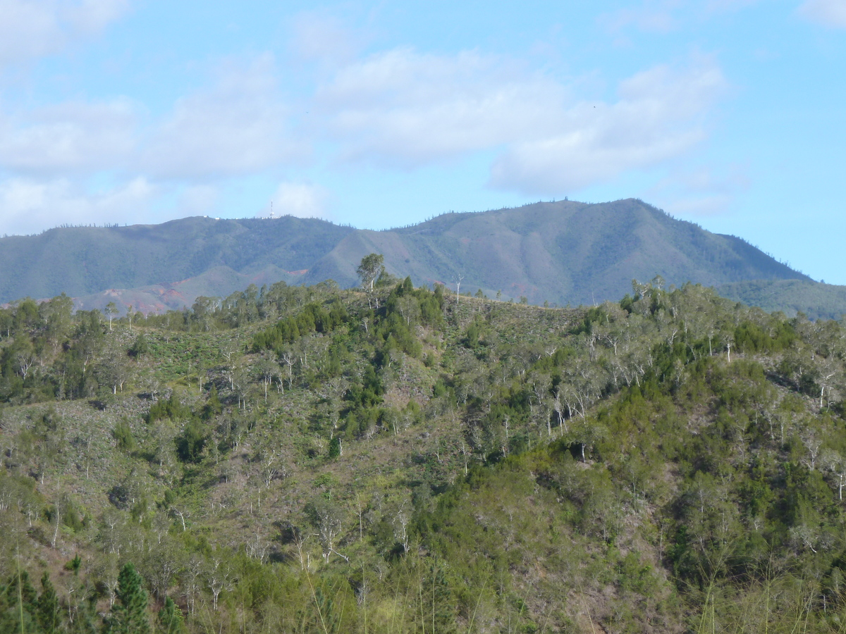 รูปถ่าย นิวแคลิโดเนีย(New Caledonia) ถนนจากตงตูตาไปทีโอ(Tontouta to Thio road) 2010-05 53