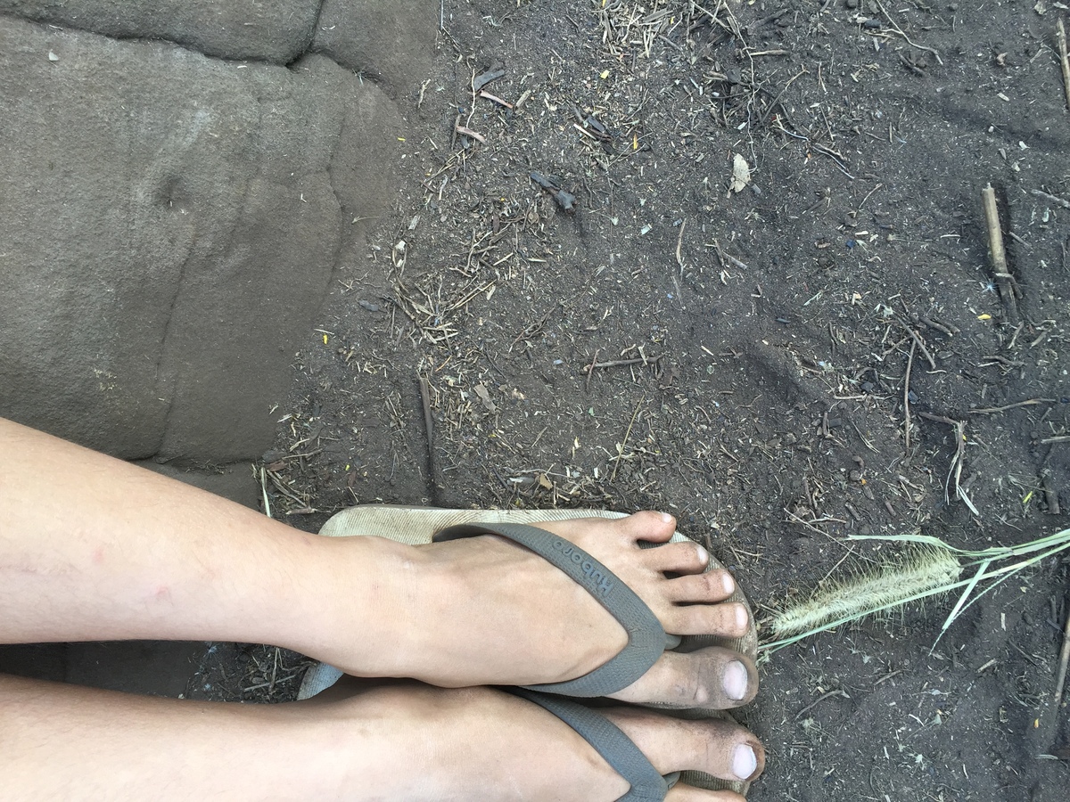 รูปถ่าย ไทย(Thailand) อุทยานแห่งชาติภูหินร่องกล้า(Phu Hin Rong Kla National Park) 2014-12 411