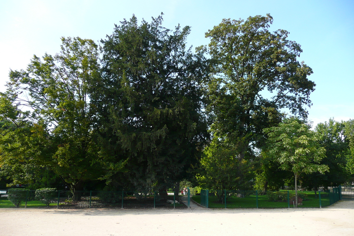 รูปถ่าย ฝรั่งเศส(France) ปารีส(Paris) สวนพันธ์ุพืช(Jardin des Plantes) 2007-08 17