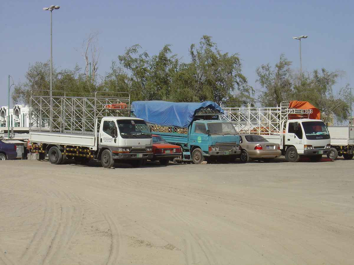 รูปถ่าย สหรัฐอาหรับเอมิเรตส์(United Arab Emirates) อาเลอิน(Al Ain) 2005-03 34