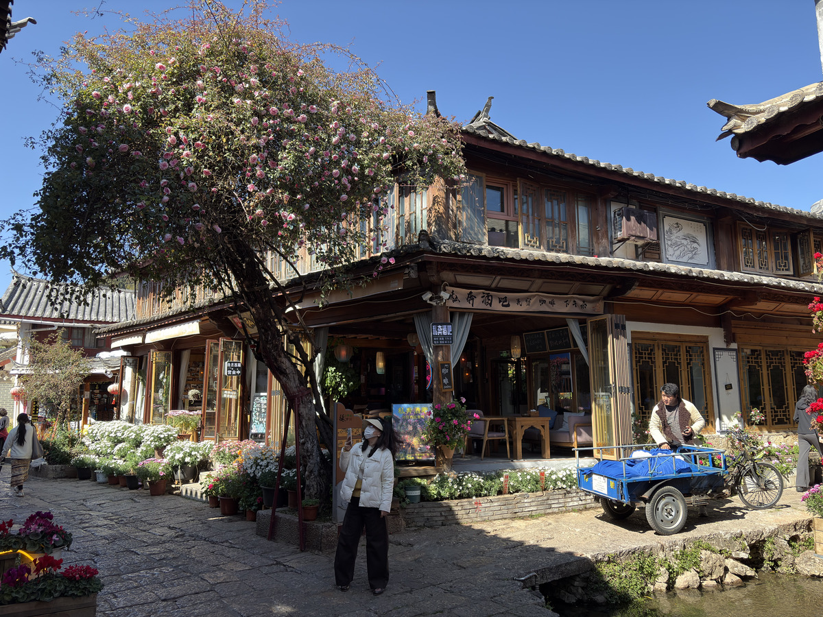 รูปถ่าย จีน(China) ลี่เจียง(Lijiang) 2026-01 240